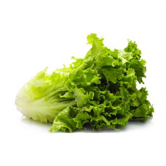 Lechuga Romana